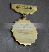 新疆自冶區(qū)十大杰出青年獎章,杰出青年勛章