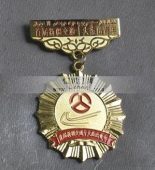 新疆自冶區(qū)十大杰出青年獎(jiǎng)?wù)?杰出青年勛章